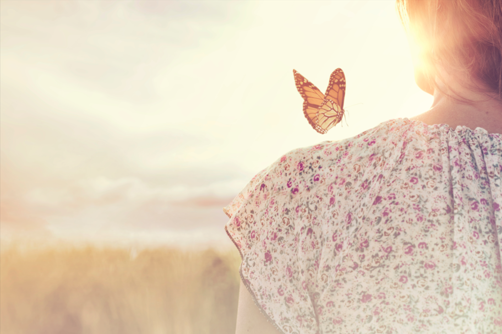 Verzekeringen website