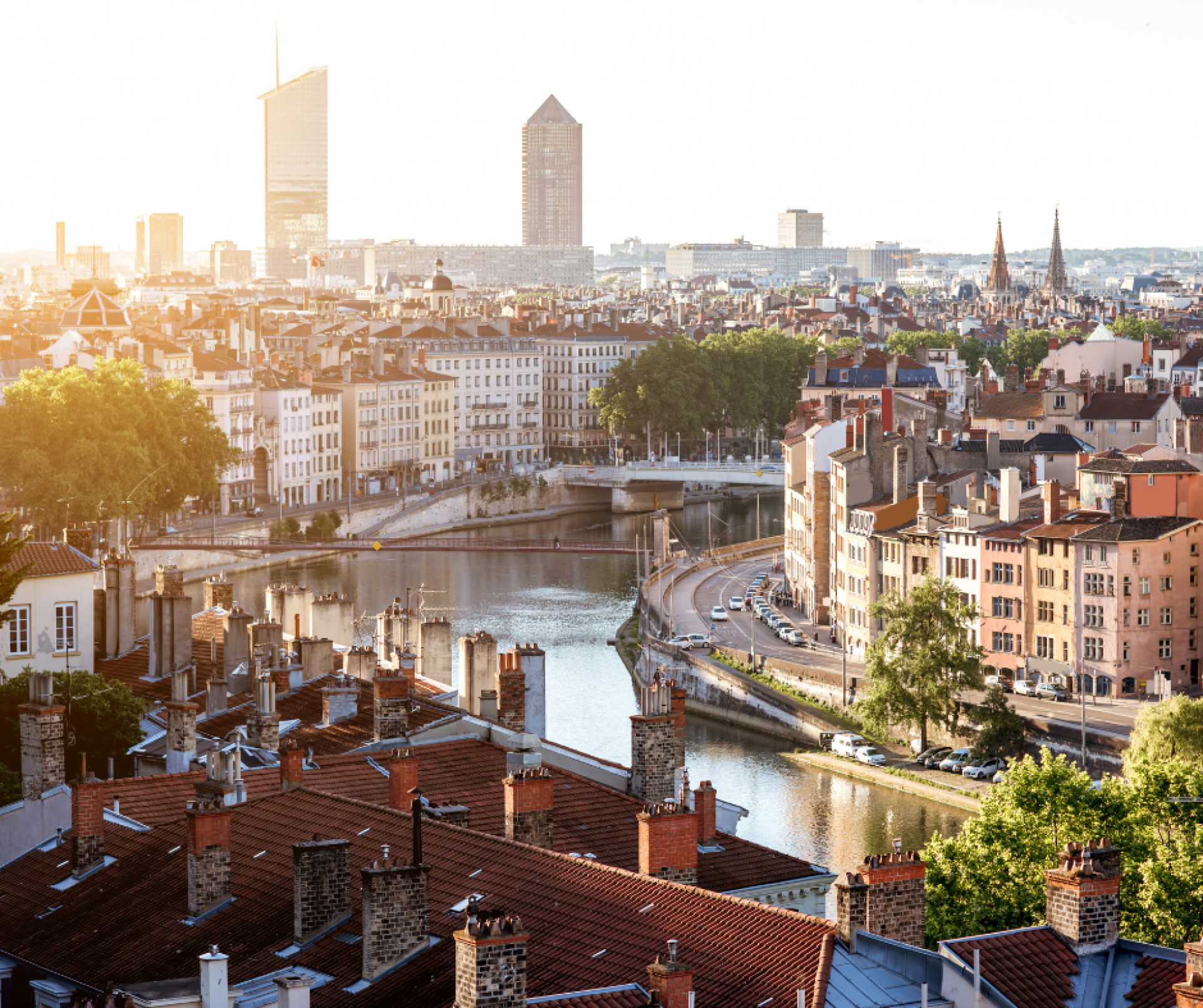 Lyon1