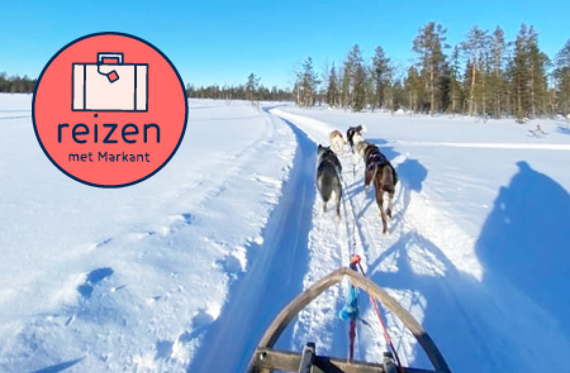 Markantmagazine juli 20237