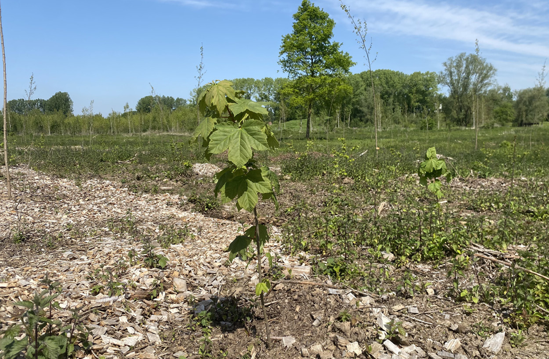 Markantmagazine oktober 202320