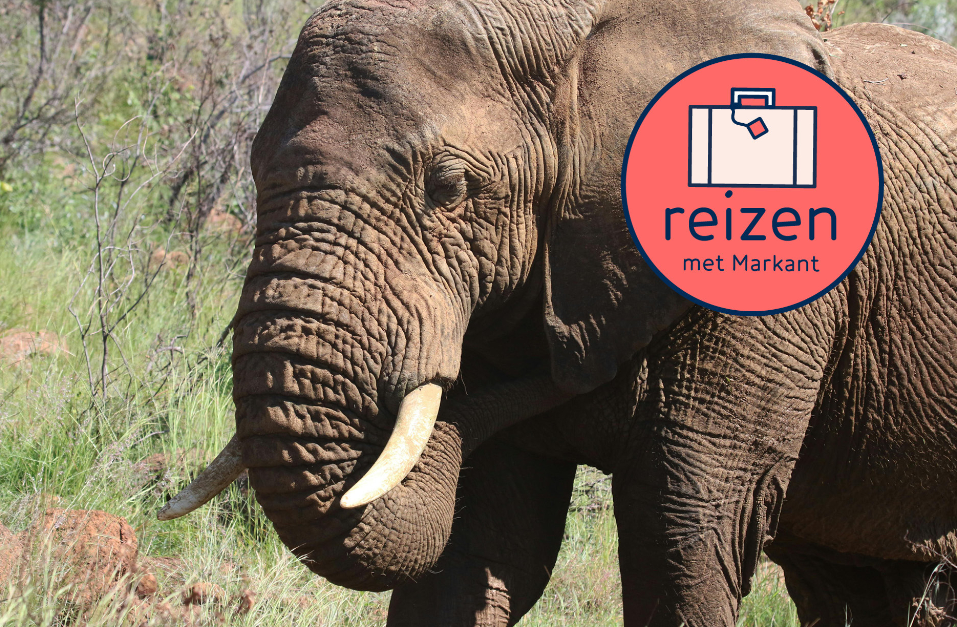 Markantmagazine december 2023 deel 214