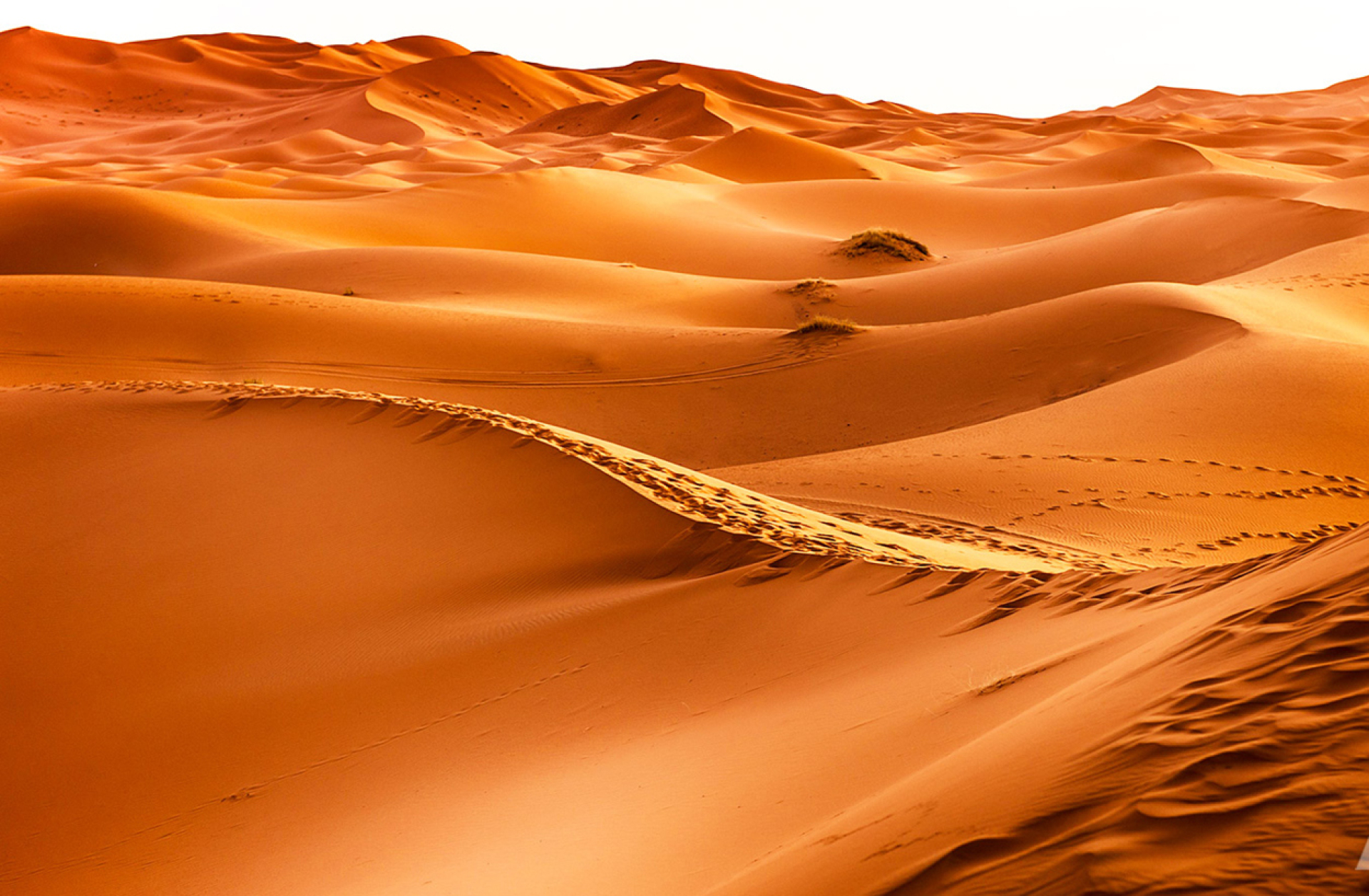 Markantmagazine juli 2025 markante reizen Verenigde Arabische Emiraten3