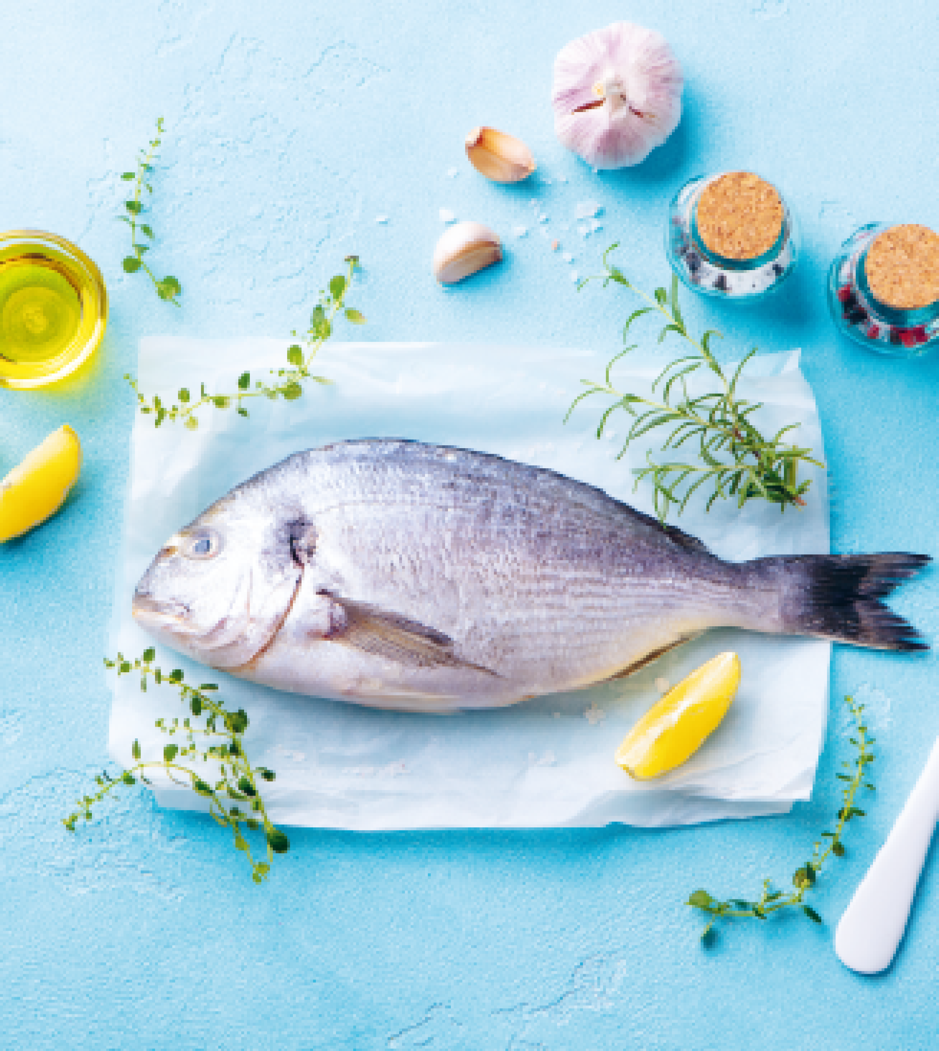 Bouillonista De gezonde kracht van bouillon in 60 gerechten win boek proteïne