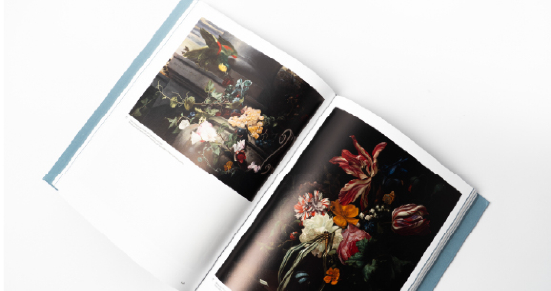 Markant nieuws maart 2026 Boekentip Vrouwelijke kunstenaars van Antwerpen tot Amsterdam Schone Kunsten gent 100